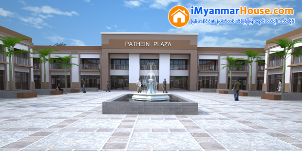 Platinum Pathein Project