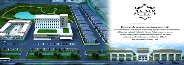 Platinum Pathein Project